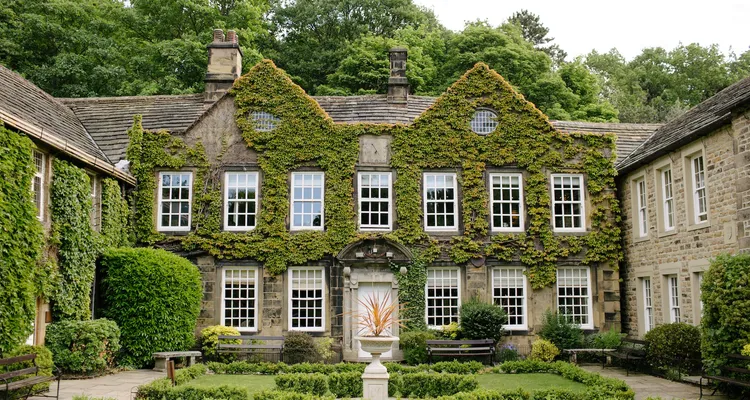 Manor house covered in greenery with a garden in front with benches and shrubbery